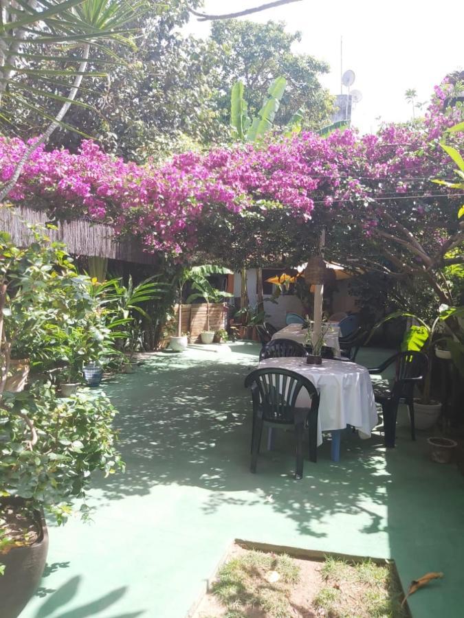 Pousada Terra Do Sol Pipa Praia de Pipa Buitenkant foto